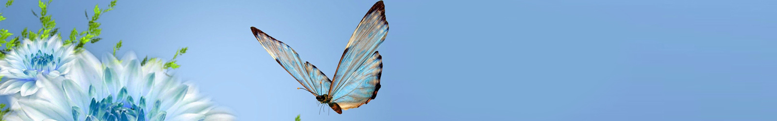 大连防腐亚洲AV麻豆三成人无码久久 大连防腐亚洲AV麻豆三成人无码久久